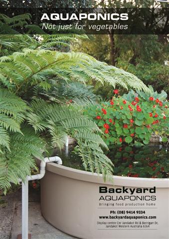 Backyard Aquaponics Website